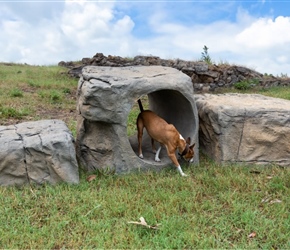 NAT7128-Boulder Run Set