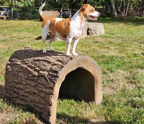 NAT7101-Terrier Tunnel