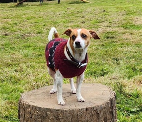 NAT7110-Little Stump Jump