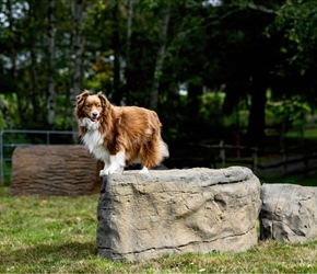 NAT7121-Large Boulder