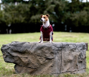 NAT7121-Large Boulder with Dog
