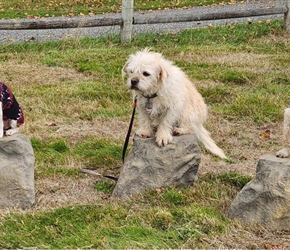 NAT7122-Stepping Stones Set