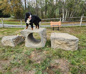 NAT7128-Boulder Run Set Berner