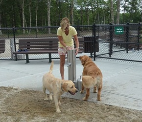 7214-Mashpee Dog Park