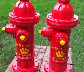 7280-Top Spray Hydrant Set