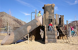 Custom Playground Equipment That Resembles a Tree Trunk